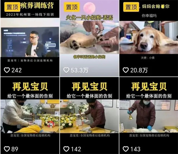 恩宠堂加盟